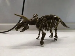 Coffret Dinosaure Déterrer - Tiwikid