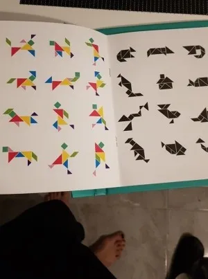 Tangram Magnétique